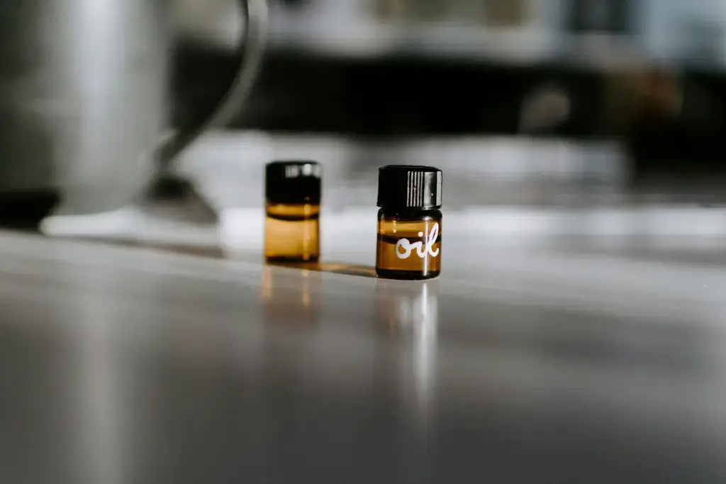 香氛界的頂級逸品：深入解析Circa香氛的魅力