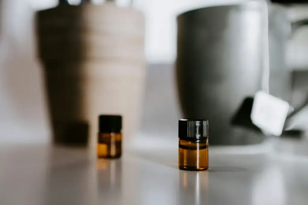 Diptyque無花果蠟燭：台灣繁體中文版究極指南