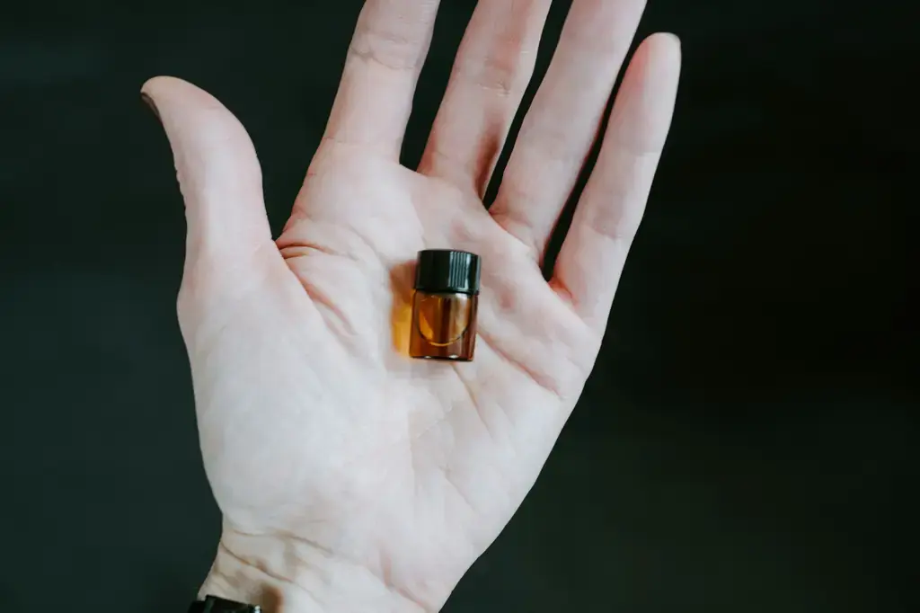 夢幻香氛：diptyque香薰蠟燭探索指南