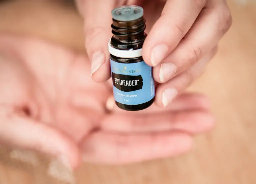 香氣四溢，品味生活的藝術：Flavour擴香的台灣風味之旅