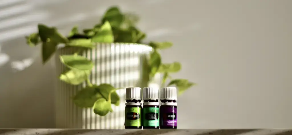 香氛車界的夢幻逸品：JoMalone車用香氛全攻略